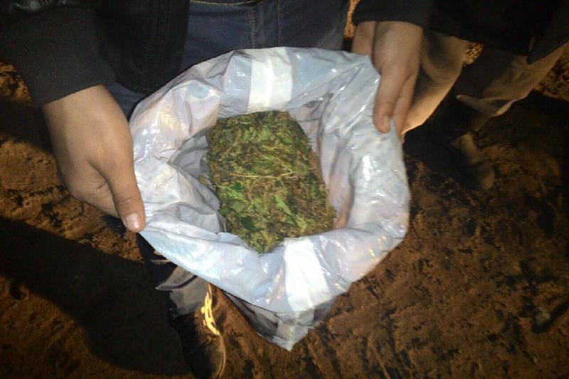 Esirtki ósirgen qyzylordalyqtar ustaldy