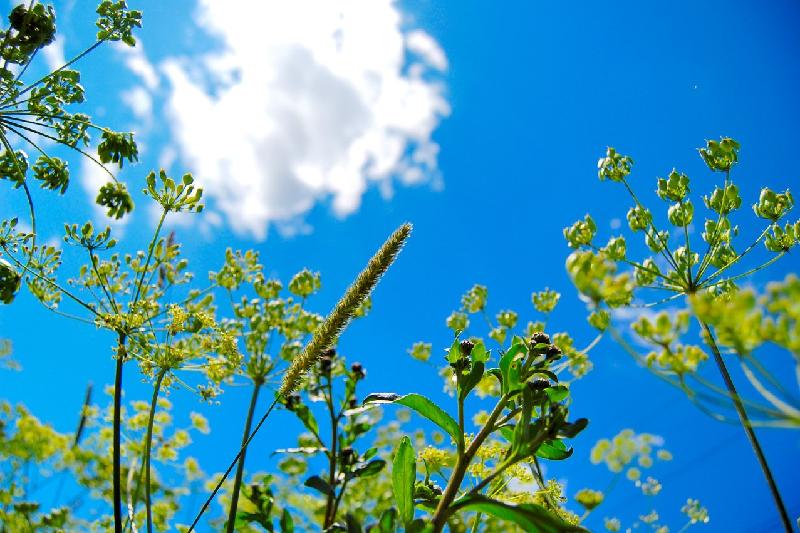 Búgin elimizdiń basym bóliginde qubylmaly aýa raıy saqtalady