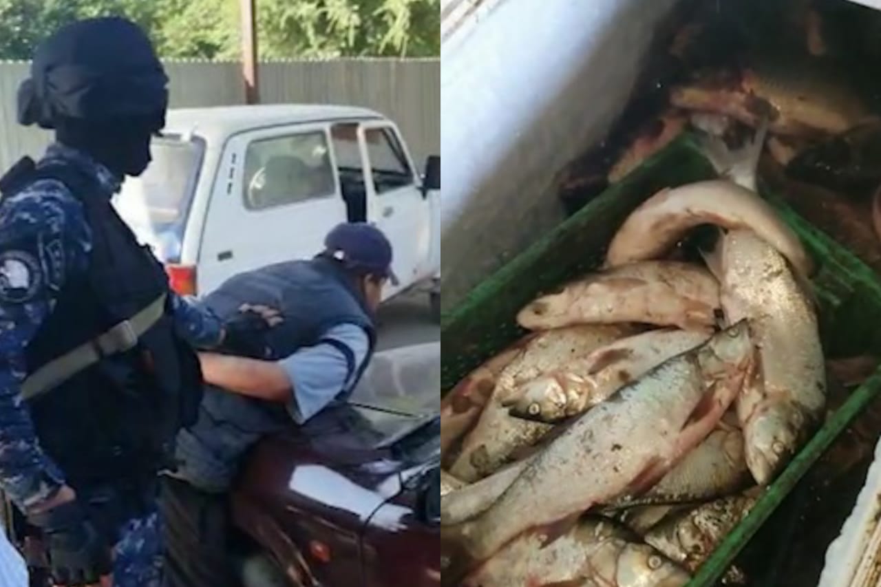 Túrkistan: Zańsyz balyq aýlaǵan qylmystyq top ustaldy