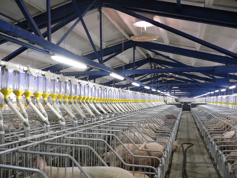 Talpaqtanaýǵa narazylyq kúsheıip tur