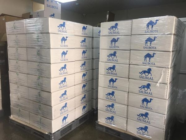 Qytaıǵa túıeniń qurǵaq sútin jóneltti