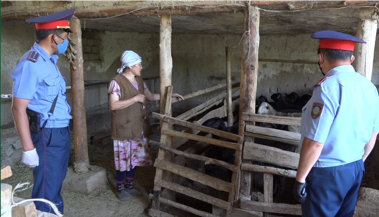 Eki qylmystyq top ustaldy