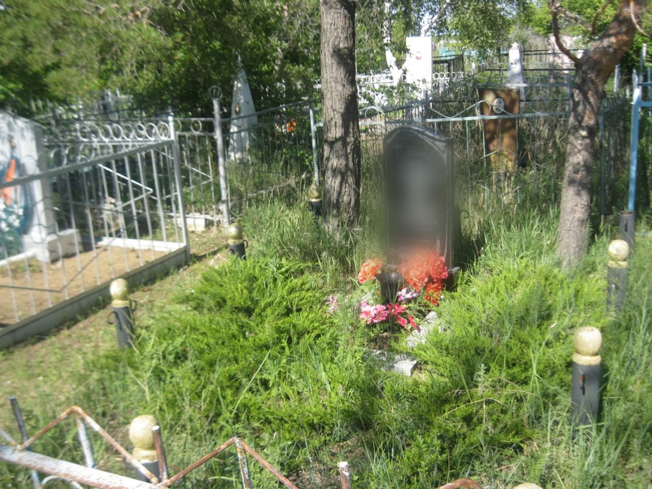 Soltústik Qazaqstanda molanyń qorshaýyn urlap júrgender ustaldy