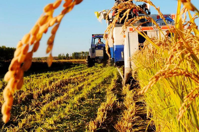 Egis alqaptaryn ártaraptandyrý fermerlerdi oqytýdan bastalýy kerek