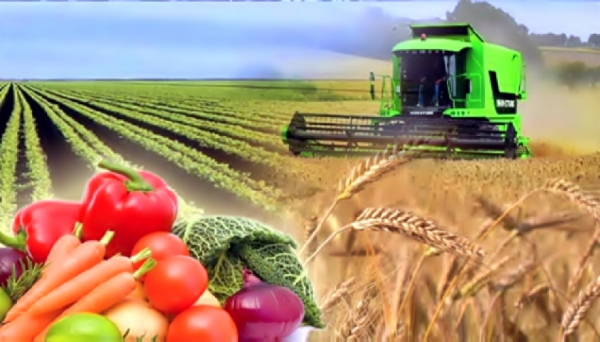 Koronavırýsqa qaramastan agroónerkásip turaqty damyp keledi