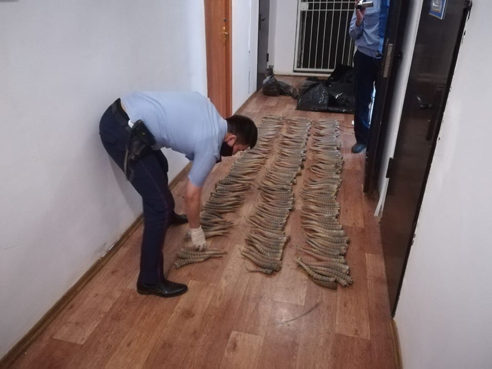 «Bókeı Orda» rezervaty qashan ashylady?