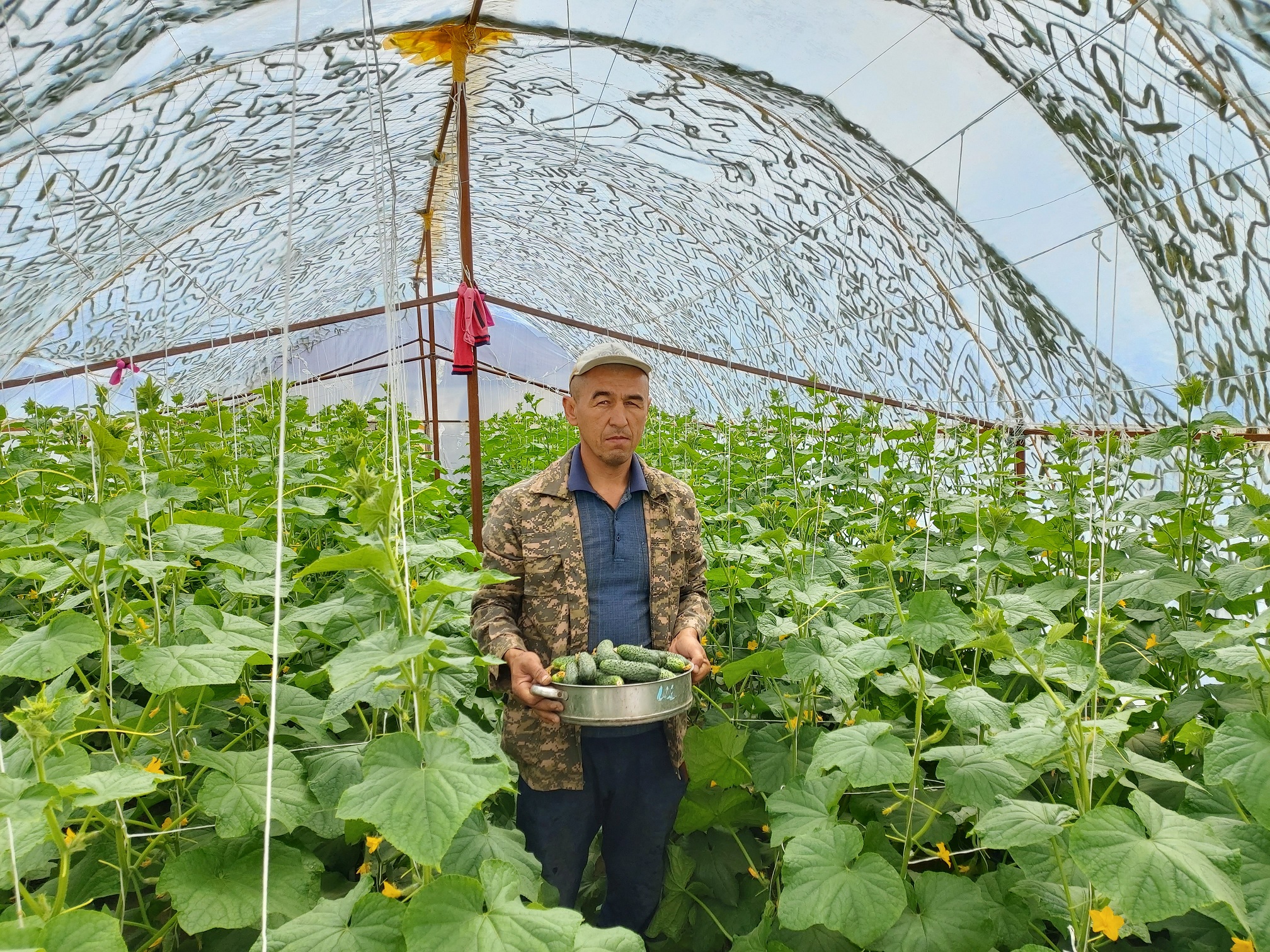 Bes balanyń ákesi eki jylyjaı ashty