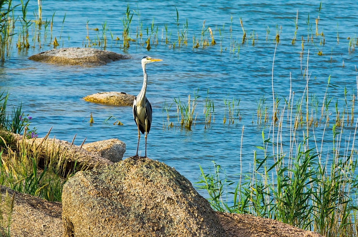Elimizdiń keı óńirinde naızaǵaı oınap, jańbyr jaýady
