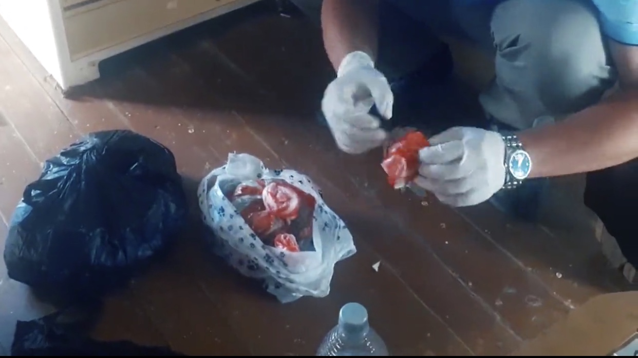 Shymkenttik áıel tońazytqyshynda "marıhýana" men "gashısh" saqtaǵan