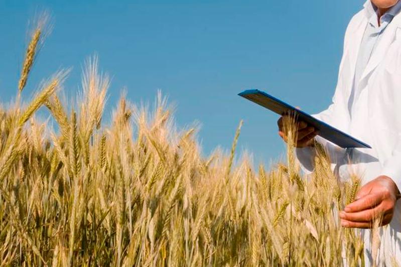 Sharýalar nege sharshap júr?