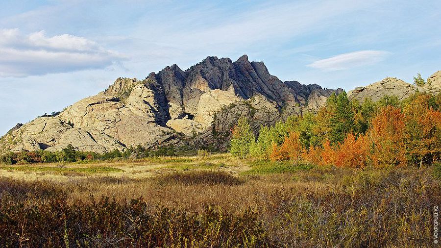 Jeri de, eli de abyz