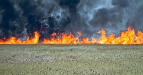 Atyraý oblysynda taǵy 5 myń gektar alqap órtendi