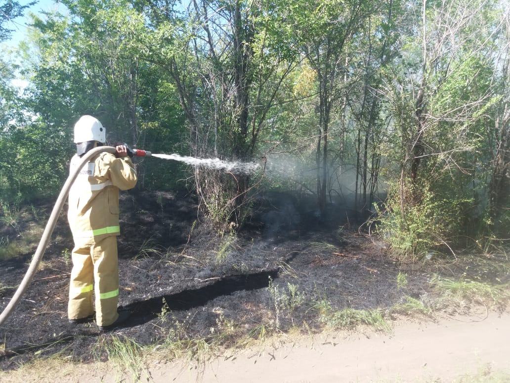 Qostanaı oblysynda orman órti jıilep ketti