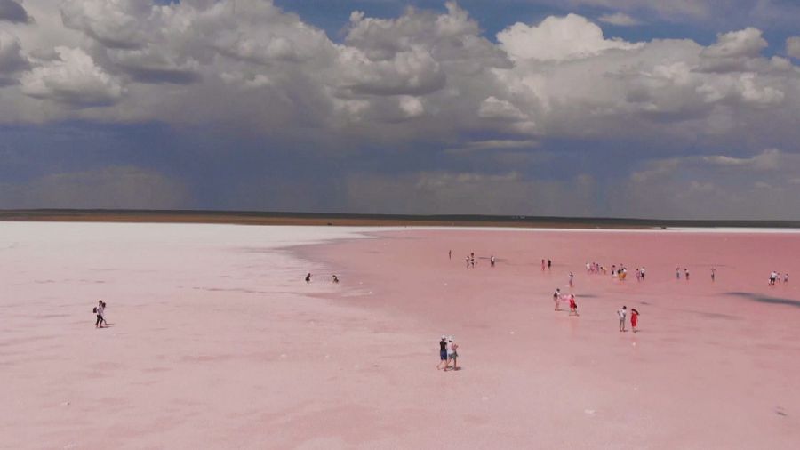Kóbeıtuzdaǵy keleńsiz kórinis ekologııalyq sanany tárbıeleý qajettigin kórsetti