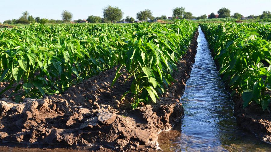 Sýarmaly jerlerdi sýmen qamtı alamyz ba?