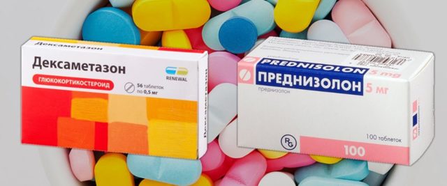 Dári qorynyń tapshylyǵy anyqtaldy