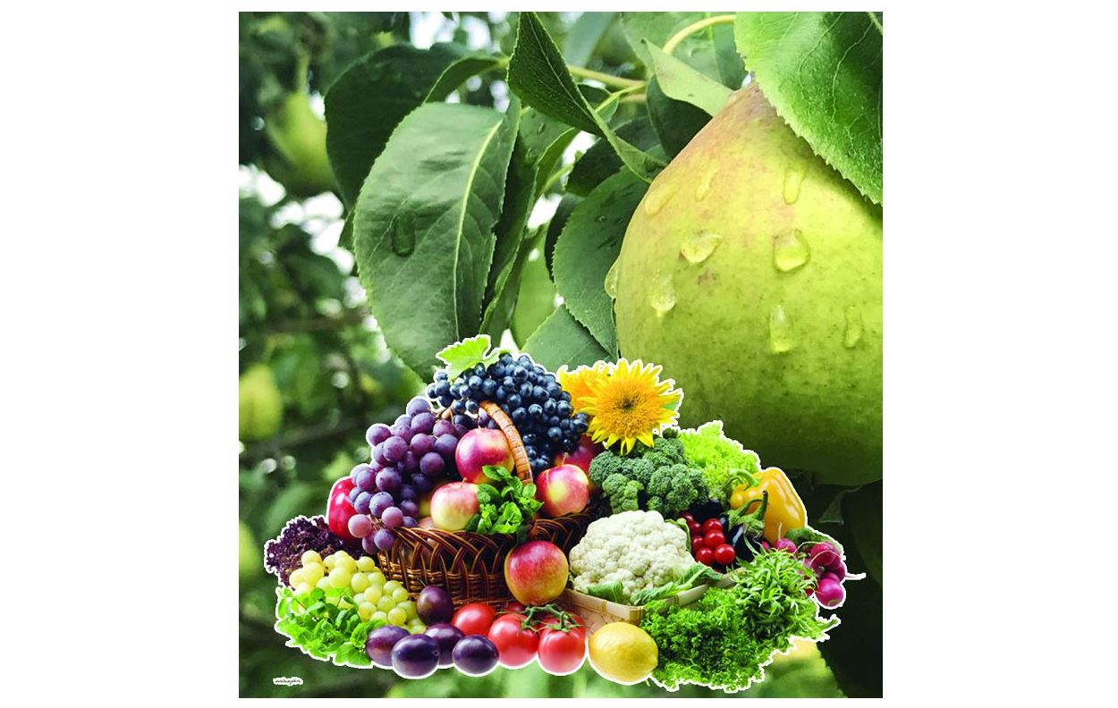 Immýnıtetti kóteretin ónimder