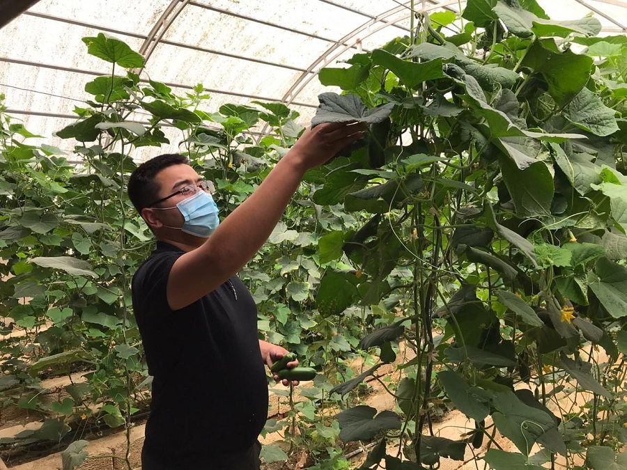 Alystan arbalamaıdy