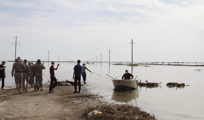 Maqtaaralda sý tasqyny saldarynan ólgen úı janýarlary úshin ótemaqy tolyq tólendi