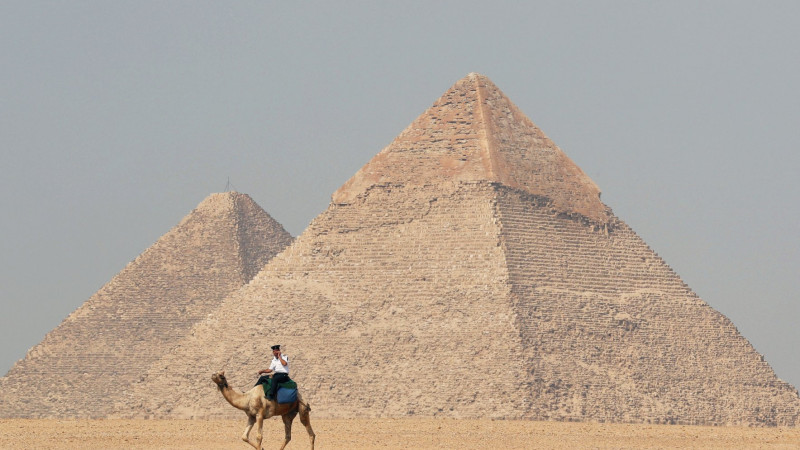 Mysyrlyqtar vırýspen kúresýde