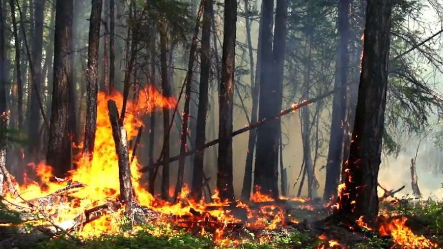 Tilsiz jaýdyń taqsireti