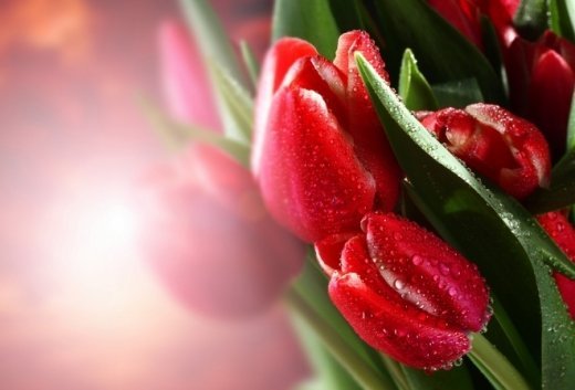 Ádepti ádemi ustaz