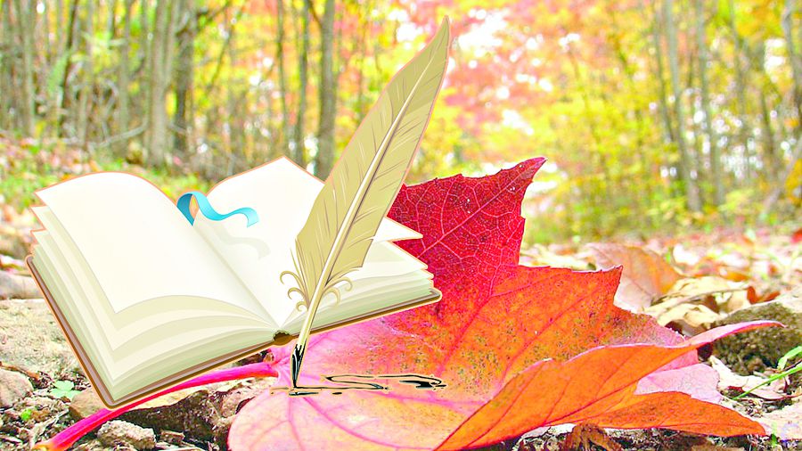 Jańsaqtyqtarǵa jol berilmese eken