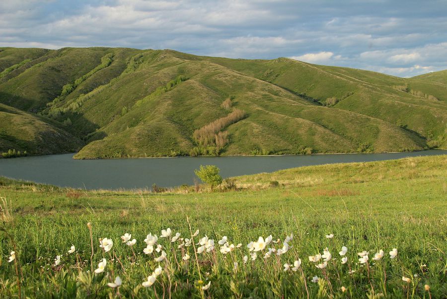 Ertis ózeniniń alqaby erekshe qorǵalmaq