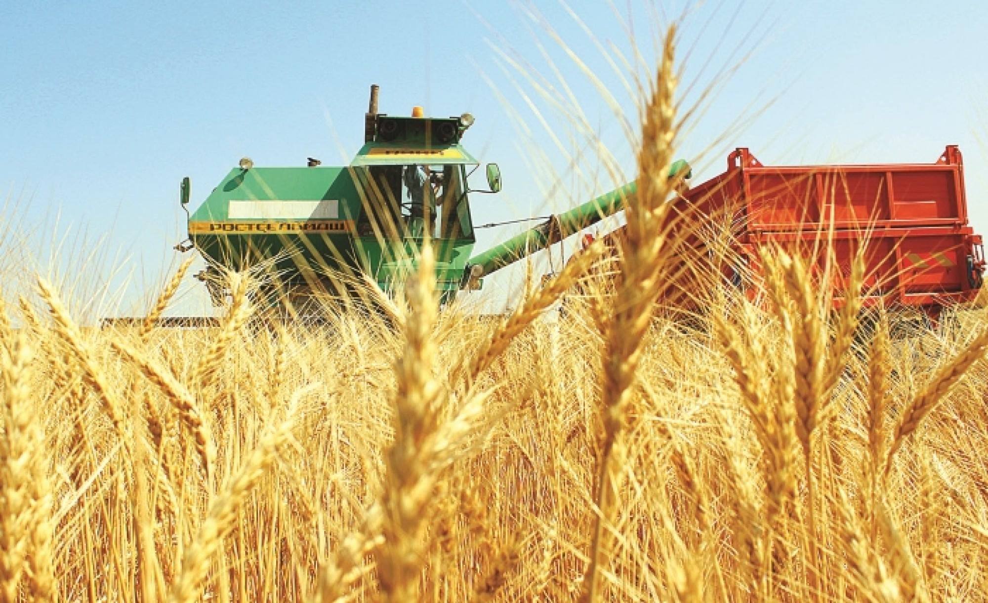 Astyqty alqaptardaǵy arpalys