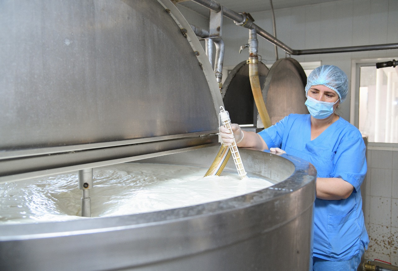 Shymkentte shaǵyn jáne orta kásip ıeleriniń sany 6.6 paıyzǵa artty