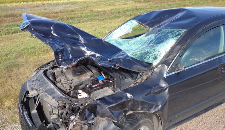 Meıirim - júrek jylytady...