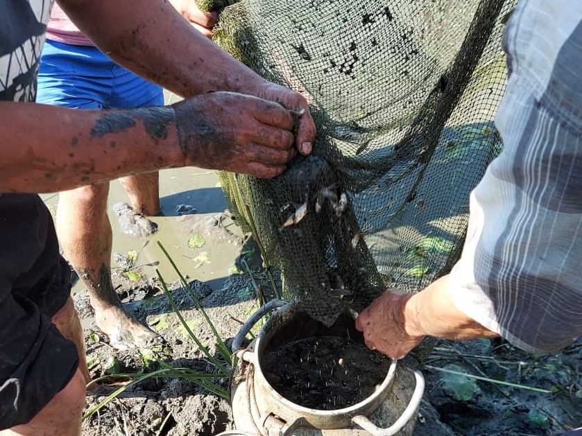 Atyraýlyqtar 3 mln shabaqty qutqardy