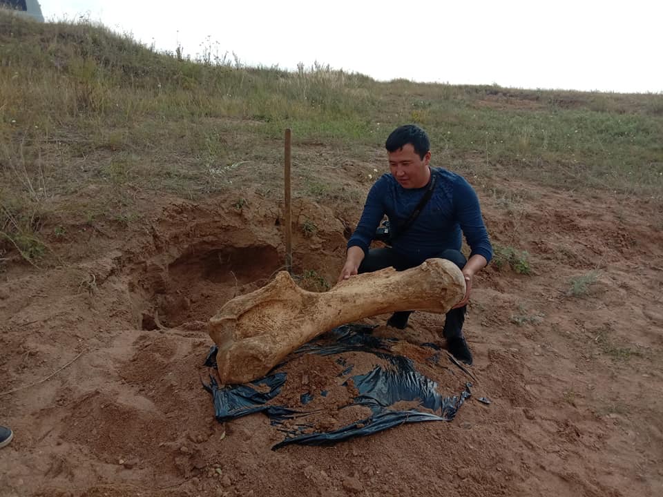 Bulandydan zildiń jiligi tabyldy
