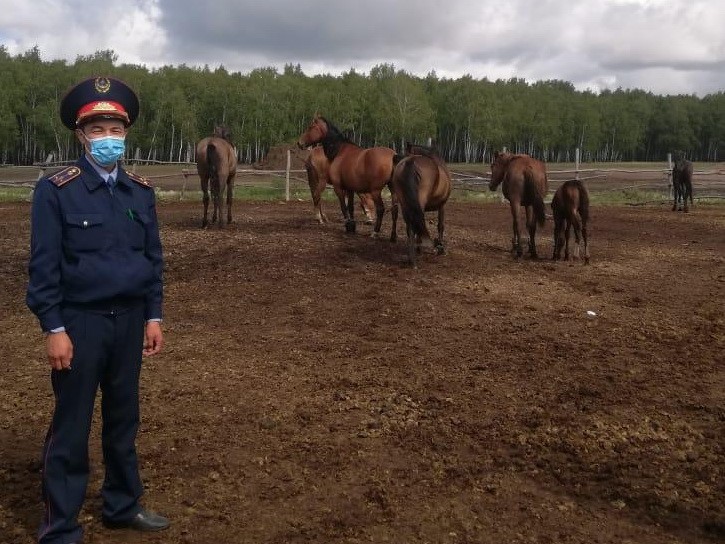 Mal baǵýdyń jańa erejeleri