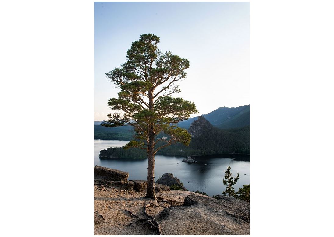 Qashqyn taýdyń qoınaýyndaǵy qazyna