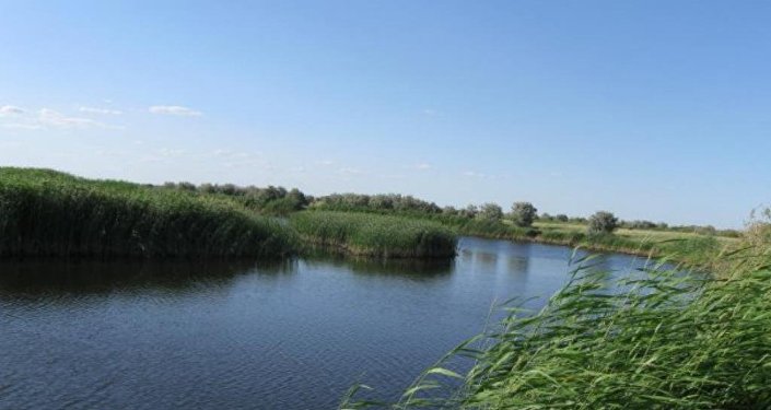 Nuralyqtardyń násibi mol