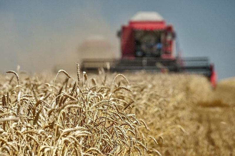 Jetisýda jıyn-terin naýqany qarqyndy júrip jatyr