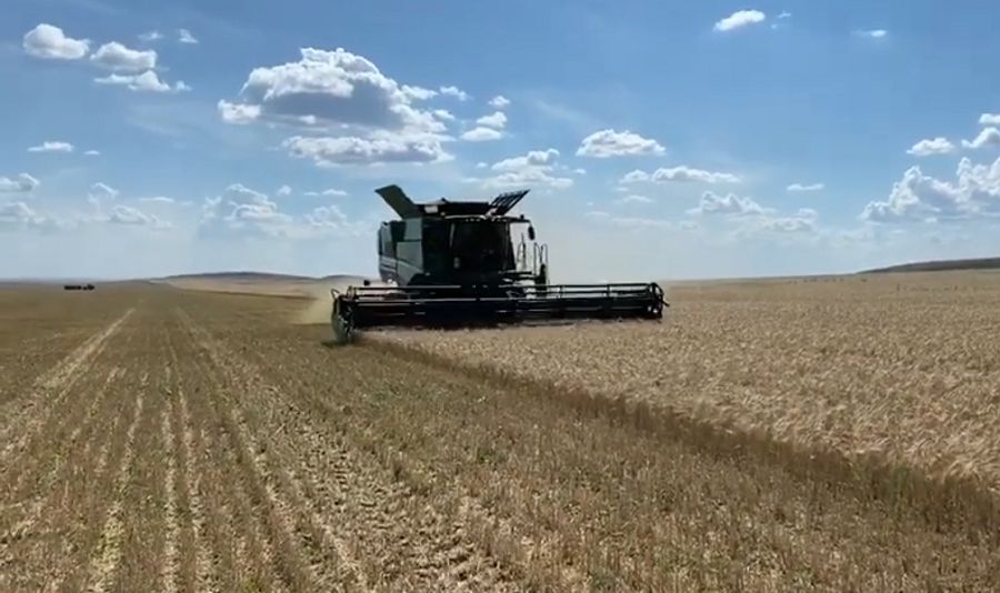 Qyrmanda – qyzý eńbek