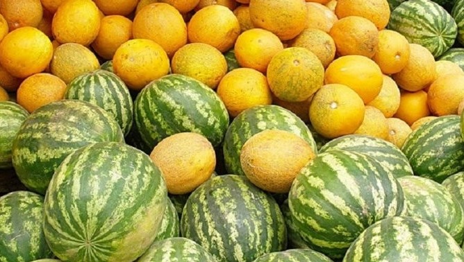 Maqtaaraldyq sharýalar qaýyn jáne qarbyz ónimderin shetelge eksporttaýda