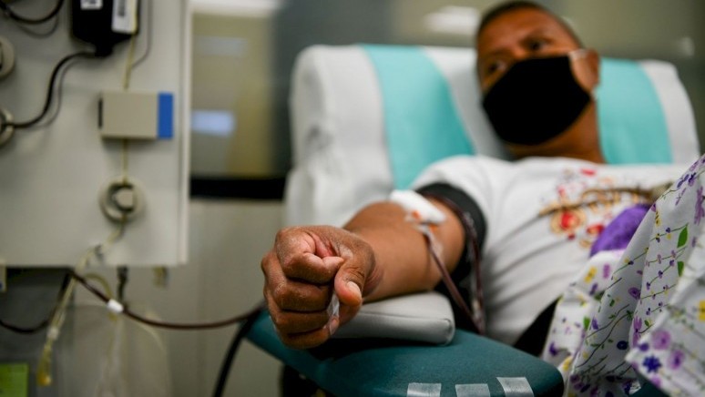 Qan plazmasymen emdeý týraly pikir ekige jaryldy