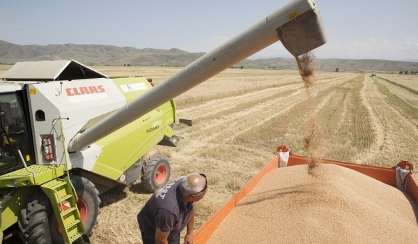 Jetisýda jıyn-terin qarqyndy júrip jatyr