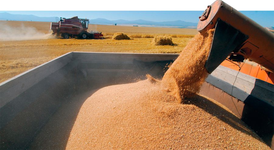 Yryzdyq ysyrap bolmaıdy