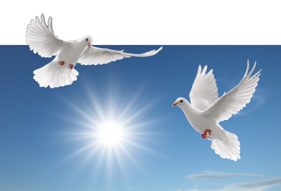 Qaterli jarys qaıta bastaldy ma?