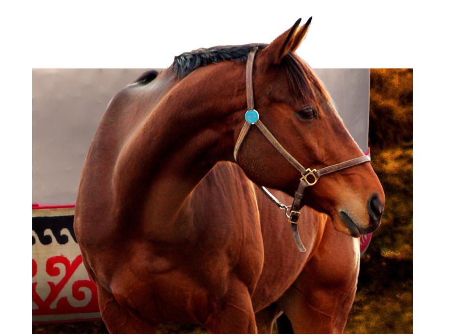 «Attyń syny» Uly Abaıdy qaıta oqyǵanda