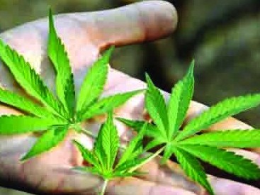 Atyraýdyń turǵyny qarý, oq-dári, esirtki saqtap, qarasora ósirgen