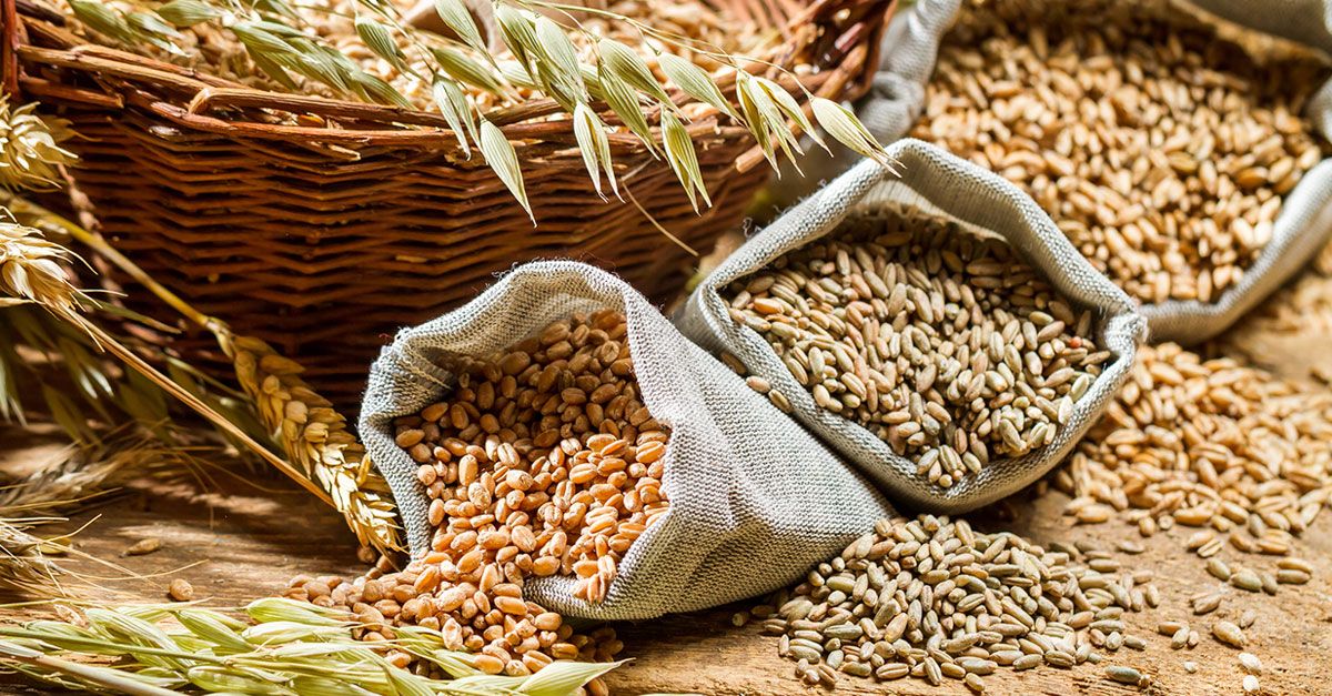 2025 jylǵy astyq baǵasy jarııalandy