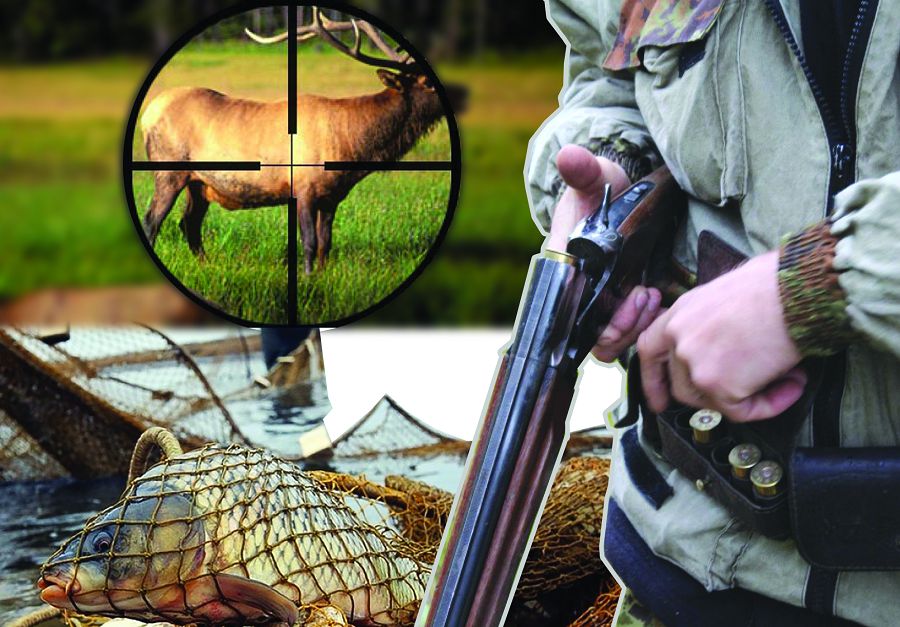 Qaskóılik qashanǵa deıin jalǵasady?