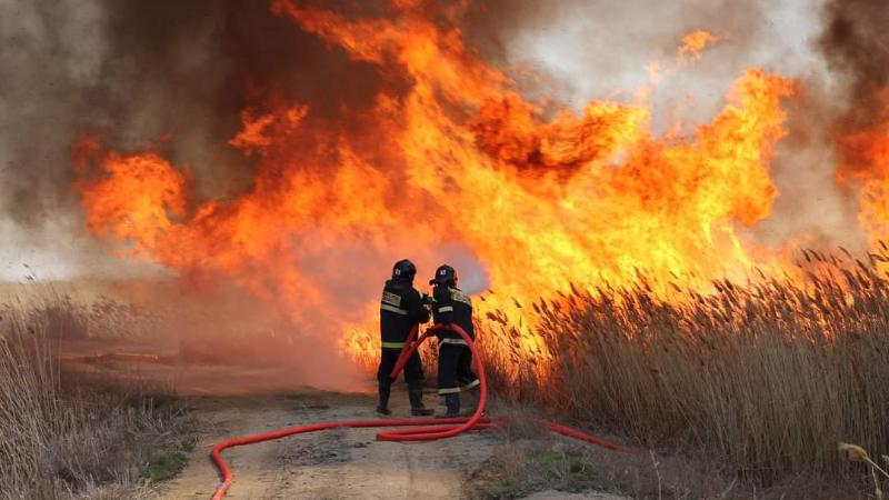 Kaspıı teńiziniń jaǵalaýyndaǵy qamys órtenip jatyr
