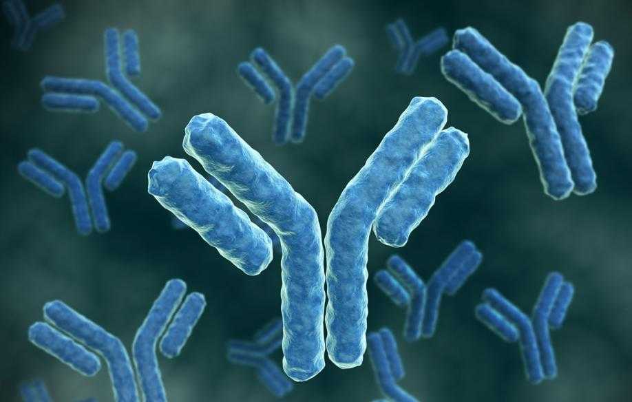 Fransııa antıdeneni tez anyqtaıtyn test engizbekshi