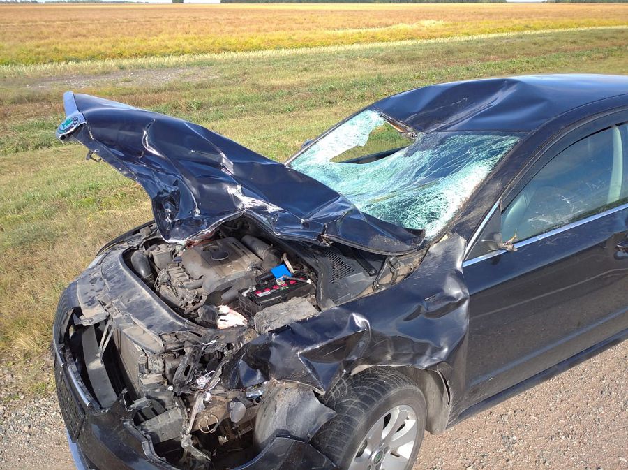 Janashyr jandar kómekke keldi